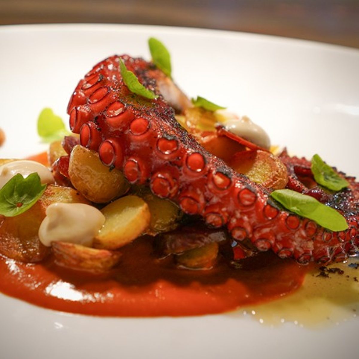 Spanish Octopus