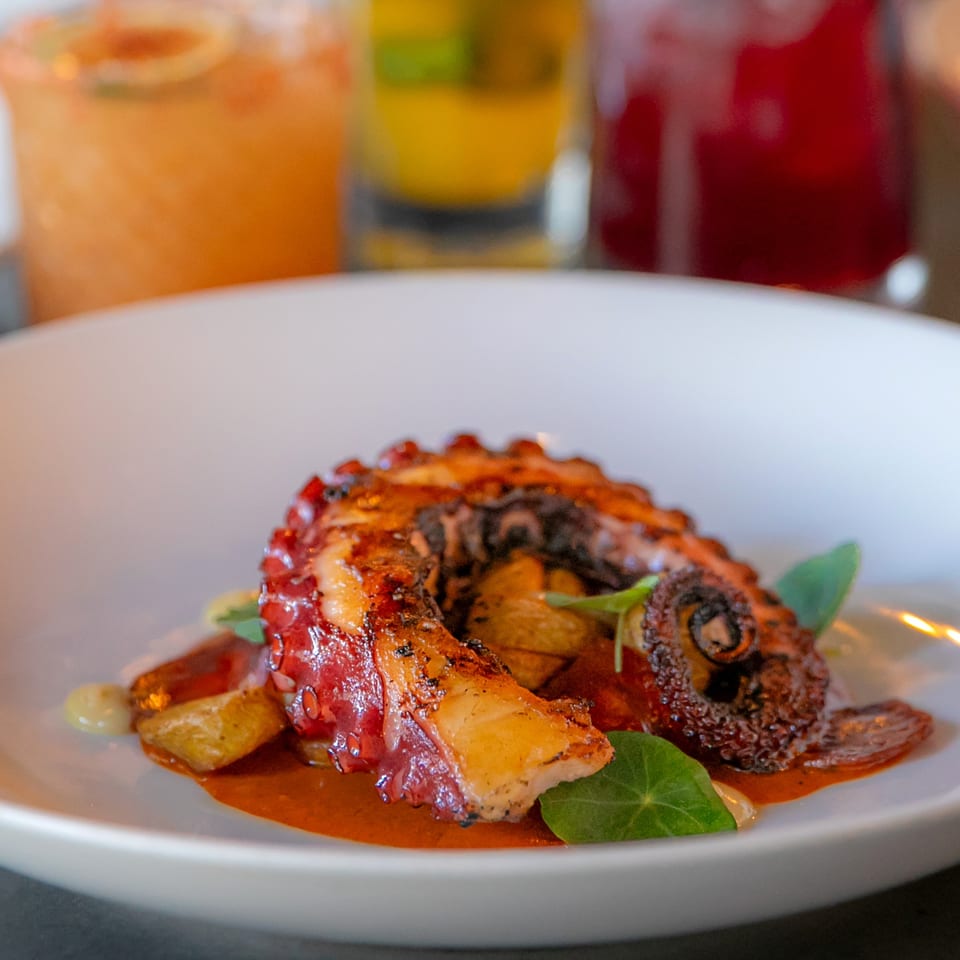 Grilled octopus with potatoes, sauce, and green leaves on a white plate at La Condesa Eatery.