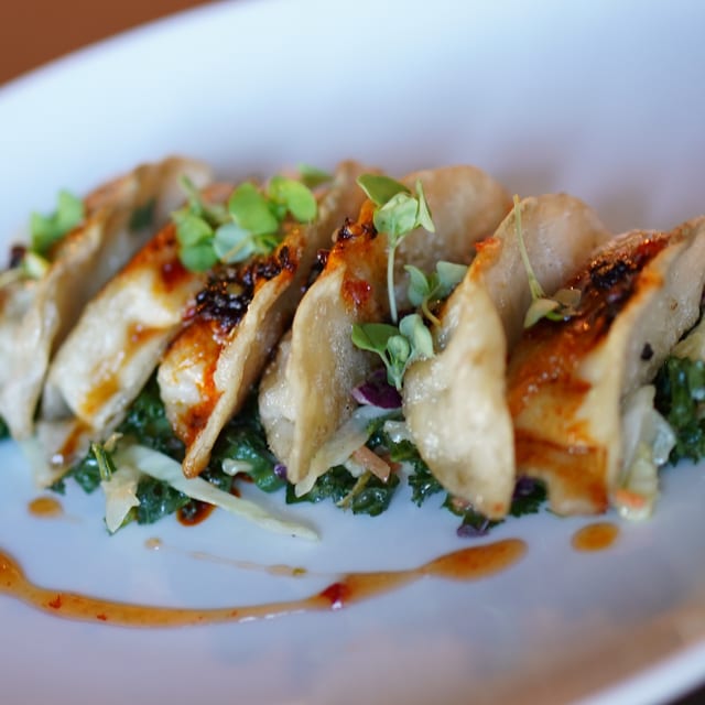 CHICKEN POTSTICKERS.